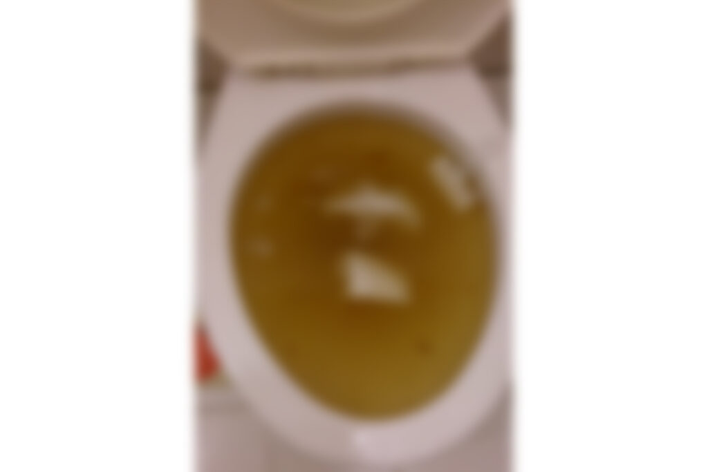 使用 Q.S.E. 來疏通馬桶的阻塞