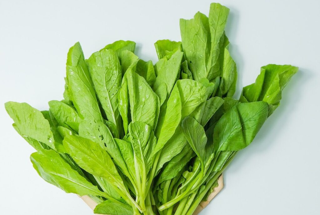 菠菜真的富含鐵質嗎 ?